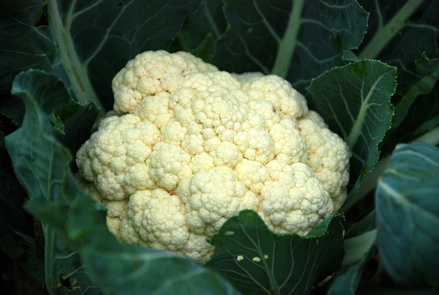 wat eet je bij geroosterde bloemkool?