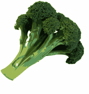 Hoe maak je broccoli klaar? Basisinstructies voor het koken van broccoli